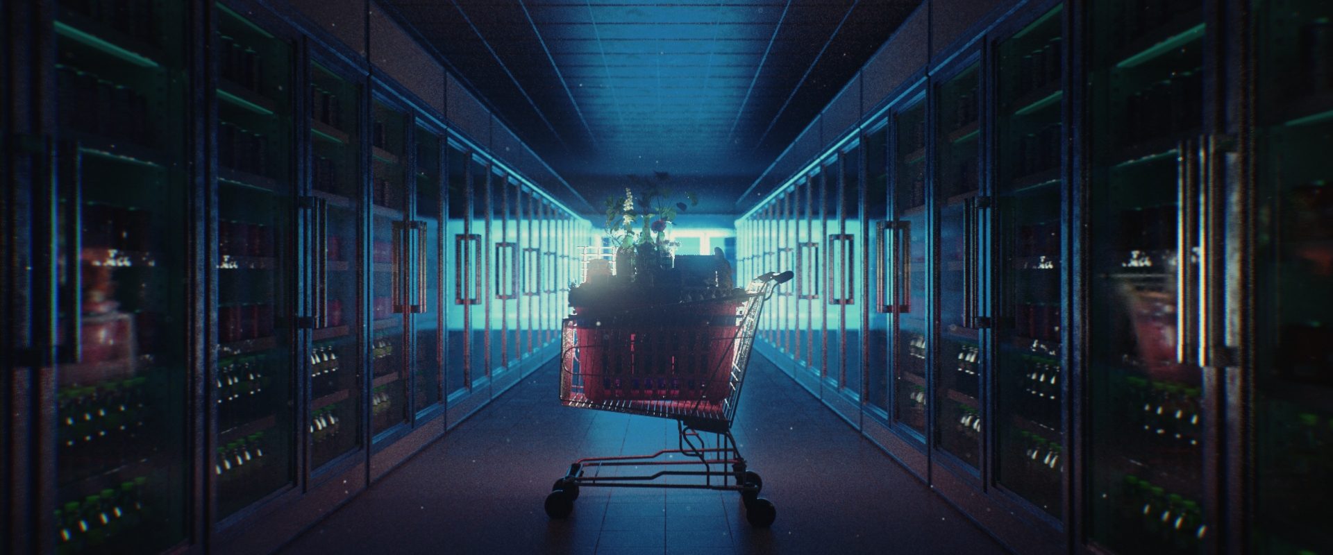 Phygital Shopping Cart